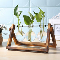 Glass and Wood Vase Planter Terrarium Table Desktop Hydroponics Plant Bonsai Flower Pot Hanging Pots-Flower Pots-Golonzo