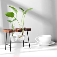 Glass and Wood Vase Planter Terrarium Table Desktop Hydroponics Plant Bonsai Flower Pot Hanging Pots-Flower Pots-Golonzo