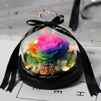 Enchanted LED Light Beauty Rose in a Glass with Black Base-Artificial flower-Golonzo