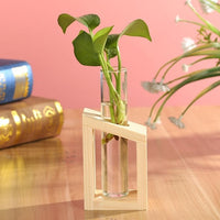 Glass and Wood Vase Planter Terrarium Table Desktop Hydroponics Plant Bonsai Flower Pot Hanging Pots-Flower Pots-Golonzo