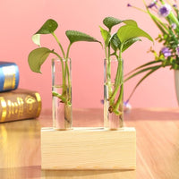 Glass and Wood Vase Planter Terrarium Table Desktop Hydroponics Plant Bonsai Flower Pot Hanging Pots-Flower Pots-Golonzo