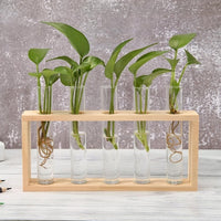 Glass and Wood Vase Planter Terrarium Table Desktop Hydroponics Plant Bonsai Flower Pot Hanging Pots-Flower Pots-Golonzo