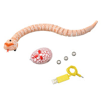 Infrared Remote Control Snake with Egg-Remote Control Robots-Golonzo