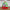 Christmas Theme LED Beanies-Hats-Golonzo