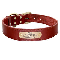 Personalized Pet Collar - Custom Leather Dog Collar Leash Set-Pet Collars & Harnesses-Golonzo