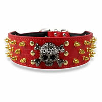 Gold Skull Spiked Dog Collars For Medium-Large Dog-collar and harness-Golonzo