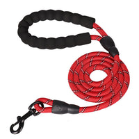 Nylon Dog Leash Training Recall Long Lead Line Pet Traction Rope-Pet Leashes-Golonzo