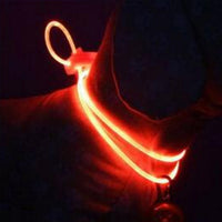 Multi-color LED Pet Collar-Pet Collars & Harnesses-Golonzo