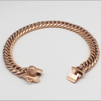 Gold Stainless Steel Pet Dog Chain Collar-Pet Collars & Harnesses-Golonzo