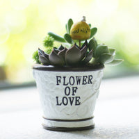 Oddish Planter Oddish Flower Succulent Succulent Flower Pot Plant-Flower Pots-Golonzo