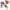 Christmas Theme LED Beanies-Hats-Golonzo