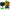 Laser Level 12 Lines 3D Self Leveling 360 Horizontal And Vertical Cross-Laser Level-Golonzo