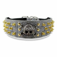 Gold Skull Spiked Dog Collars For Medium-Large Dog-collar and harness-Golonzo