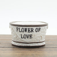 Oddish Planter Oddish Flower Succulent Succulent Flower Pot Plant-Flower Pots-Golonzo