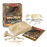 Dinosaur Fossil Digging Kit-Puzzles-Golonzo