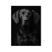 Nordic Wall Canvas Art Paintings Print Animal-Artwork-Golonzo