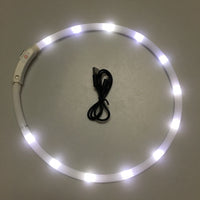 LED Glowing Dog Collar - USB Charging Pet Dog Collar-collar and harness-Golonzo
