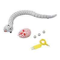 Infrared Remote Control Snake with Egg-Remote Control Robots-Golonzo