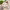 Cute Stuffed Boba Tea Plushies Pillow-Pillows-Golonzo
