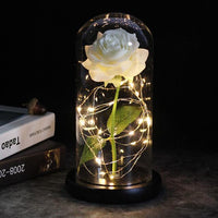 Precious Rose LED For Gift-Artificial flower-Golonzo