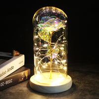 Precious Rose LED For Gift-Artificial flower-Golonzo