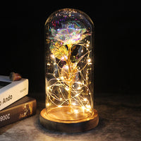 Precious Rose LED For Gift-Artificial flower-Golonzo