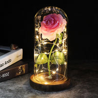 Eternal Rose - 24K Gold Foil Flower With Fairy String Lights In Dome-Artificial Flora-Golonzo