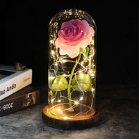 Precious Rose LED For Gift-Artificial flower-Golonzo