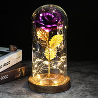 Precious Rose LED For Gift-Artificial flower-Golonzo