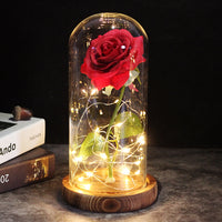 Precious Rose LED For Gift-Artificial flower-Golonzo