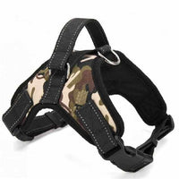 Saddle Dog Harness Belt-collar and harness-Golonzo