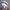 Cute Rabbit-Fox Fur warm Headwear-Hats-Golonzo