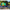 Dirt Bike Goggles-Motorcycle Goggles-Golonzo