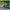Dirt Bike Goggles-Motorcycle Goggles-Golonzo