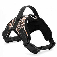 Saddle Dog Harness Belt-collar and harness-Golonzo