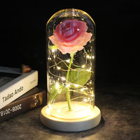 Precious Rose LED For Gift-Artificial flower-Golonzo