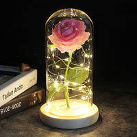 Eternal Rose - 24K Gold Foil Flower With Fairy String Lights In Dome-Artificial Flora-Golonzo