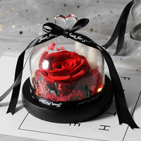 Enchanted LED Light Beauty Rose in a Glass with Black Base-Artificial flower-Golonzo