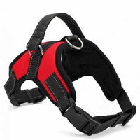 Saddle Dog Harness Belt-collar and harness-Golonzo