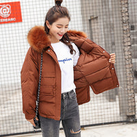 Full Slim Hair Cotton-padded Women Winter Jacket-Coats and Jackets-Golonzo
