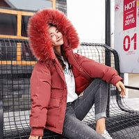 Full Slim Hair Cotton-padded Women Winter Jacket-Coats and Jackets-Golonzo