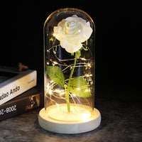 Precious Rose LED For Gift-Artificial flower-Golonzo