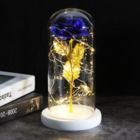 Precious Rose LED For Gift-Artificial flower-Golonzo
