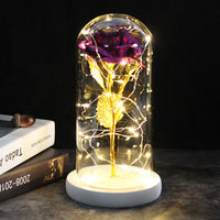 Precious Rose LED For Gift-Artificial flower-Golonzo